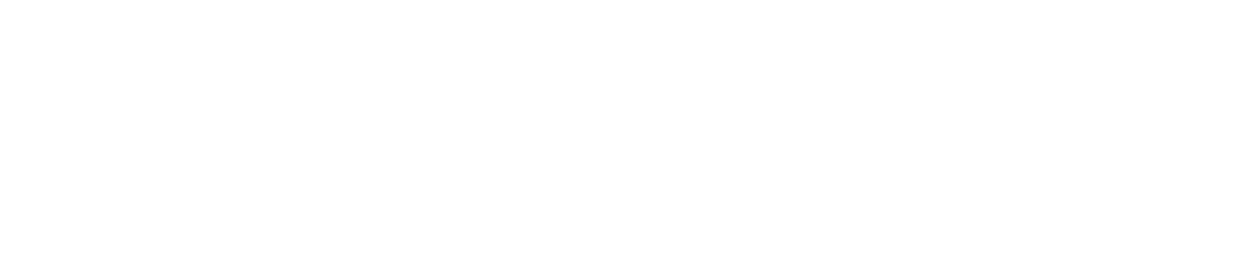 THE MIAMI CLICK