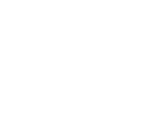 THE MIAMI CLICK
